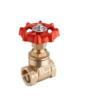 CAD Drawings High Quality Brass Ball Valve and One Way Motorize and Control Valve Forged Cw617n Brass Gate Valve